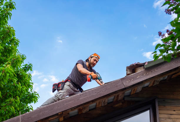 Best Sheet Metal Roofing  in South Zanesville, OH